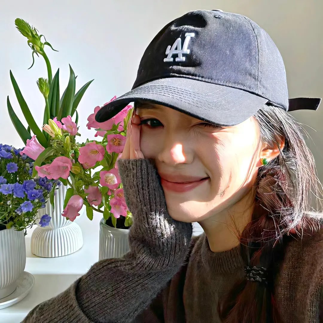 菊石